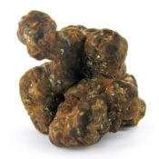 Mush Magic Utopia Trufas Mágicas 15g