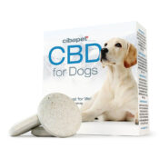 Cibdol Pastillas para perros con 176mg de CBD