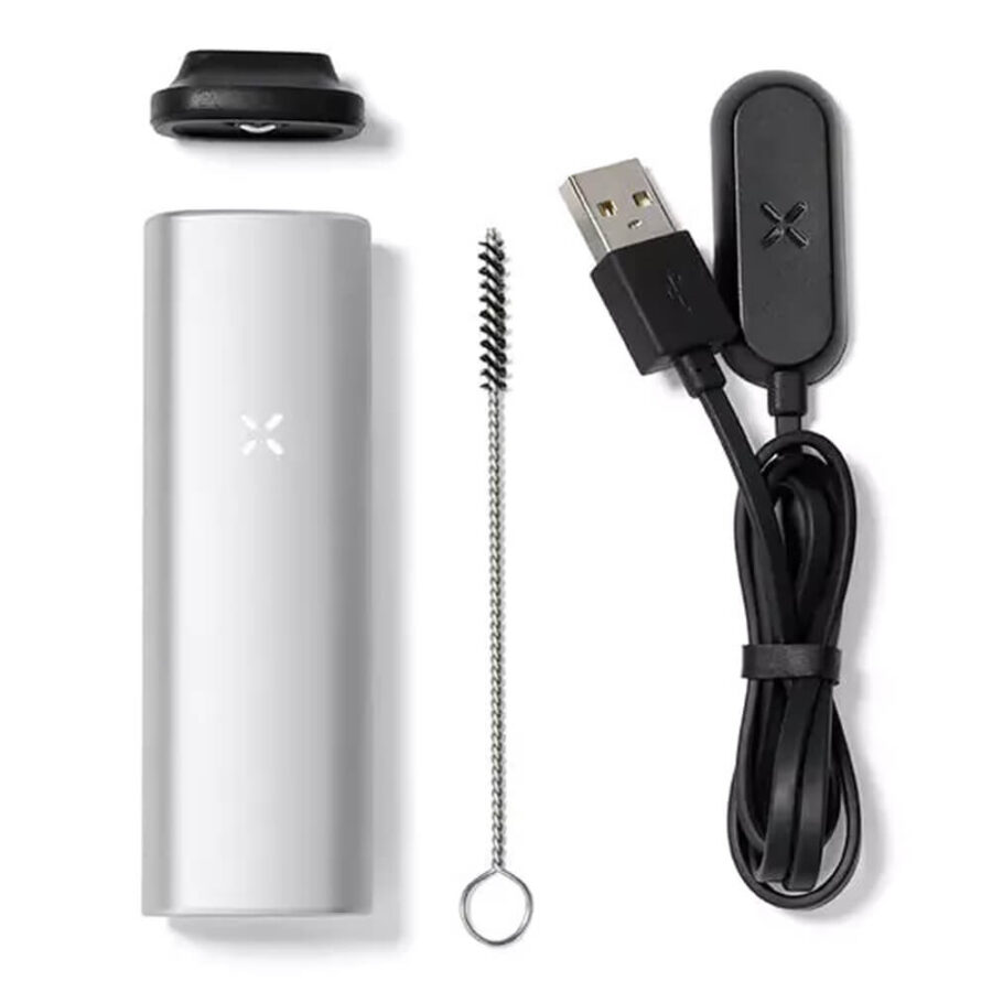 wholesale pax mini silver 2