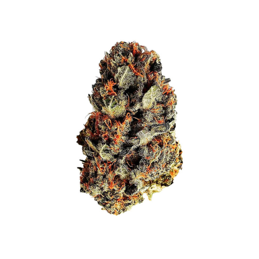 Royal Queen Seeds Dance World CBD Semillas de Cannabis (Paquete de 5 Semillas)