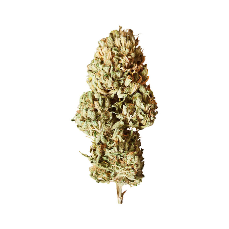 Royal Queen Seeds Royal AK Auto Semillas de Cannabis Autofloreciente (Paquete de 3 Semillas)