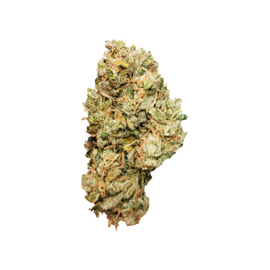 Royal Queen Seeds Royal Cheese Auto Semillas de Cannabis Autofloreciente (Paquete de 3 Semillas)