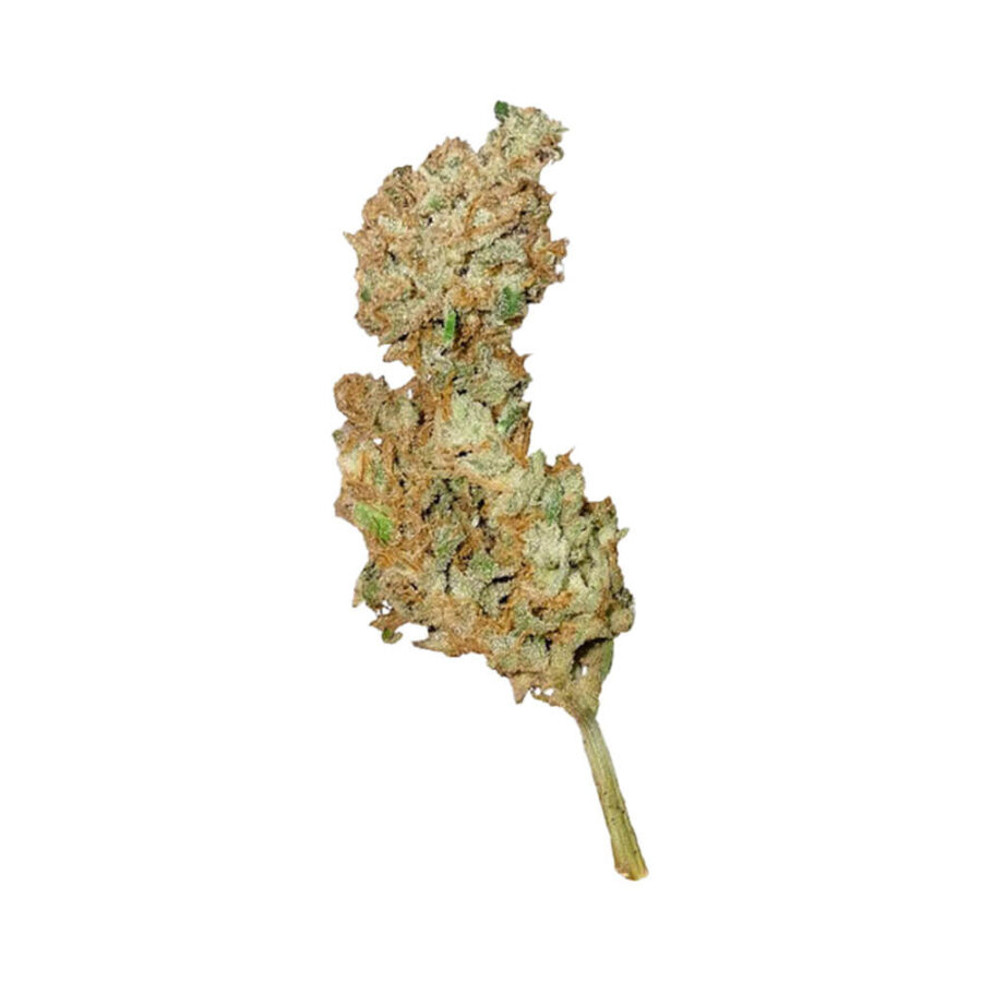 Royal Queen Seeds Royal Creamatic Semillas de Cannabis Autofloreciente (Paquete de 3 Semillas)