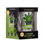 Royal Queen Seeds Cherry Pie USA Kit de Cultivo IGrowCan