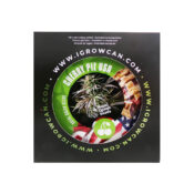 Royal Queen Seeds Cherry Pie USA Kit de Cultivo IGrowCan