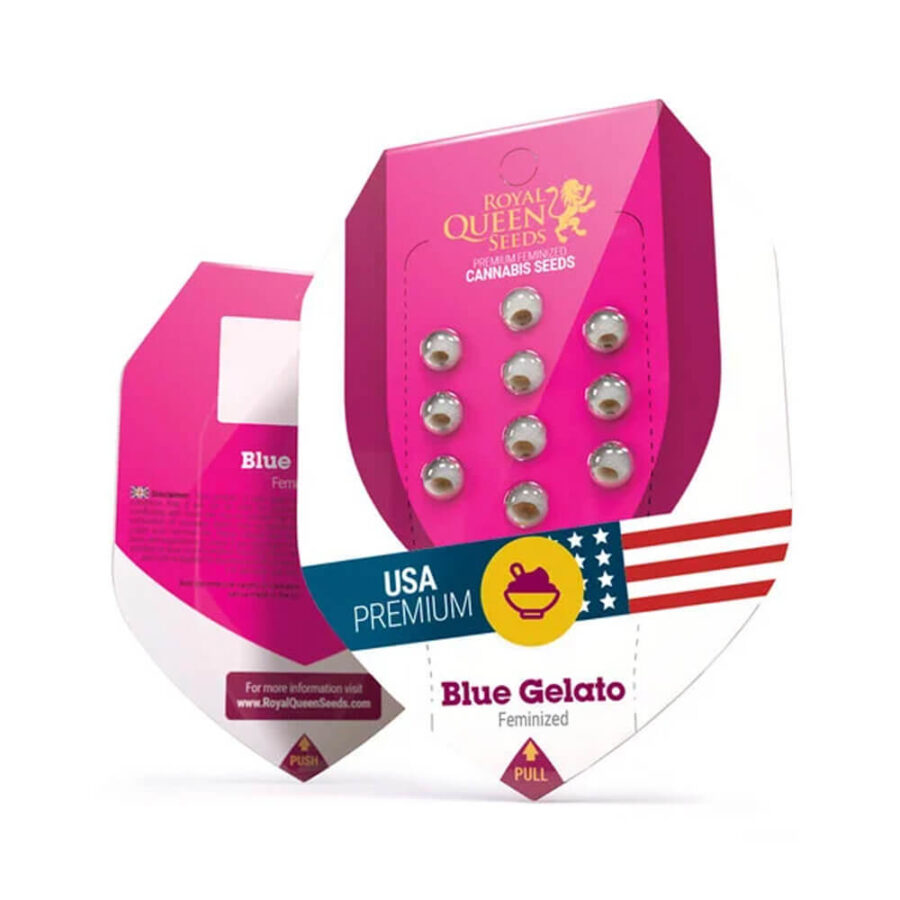 Royal Queen Seeds Blue Gelato Semillas de Cannabis Feminizadas (Paquete de 3 Semillas)