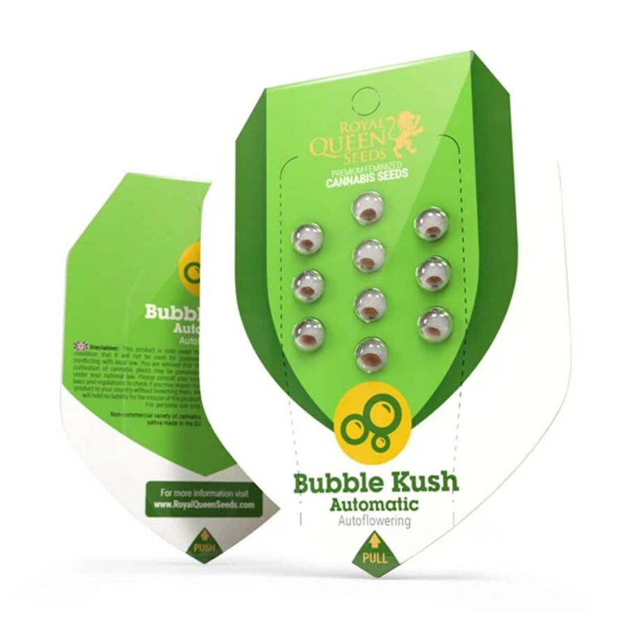 Royal Queen Seeds Bubble Kush Semillas de Cannabis Autoflorecientes (Paquete de 3 Semillas)