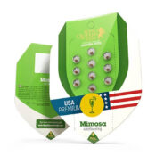 Royal Queen Seeds Mimosa Auto Semillas de Cannabis Autoflorecientes (Paquete de 3 Semillas)