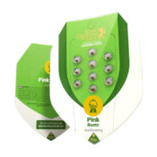 Royal Queen Seeds Pink Runtz Auto Semillas de Cannabis Autoflorecientes (Paquete de 5 Semillas)