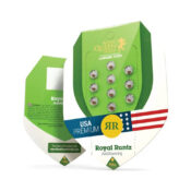 Royal Queen Seeds Royal Runtz Auto Semillas de Cannabis Autoflorecientes (Paquete de 5 Semillas)