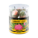 Piruletas de Cannabis Sabor Chicle Caja de Regalo 10pcs (12packs/masterbox)