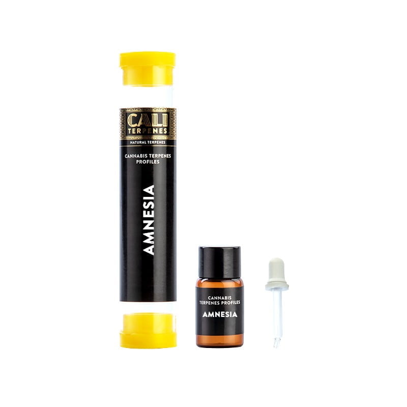 terpenos-amnesia terpenos amnesia