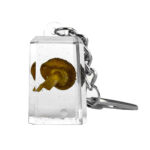 Llavero Acrílico Transparente Cubo Mushroom wholesale mushroom keychain