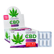 Euphoria Chicles de Cannabis Grosella Negra con 100mg CBD (12uds/display)